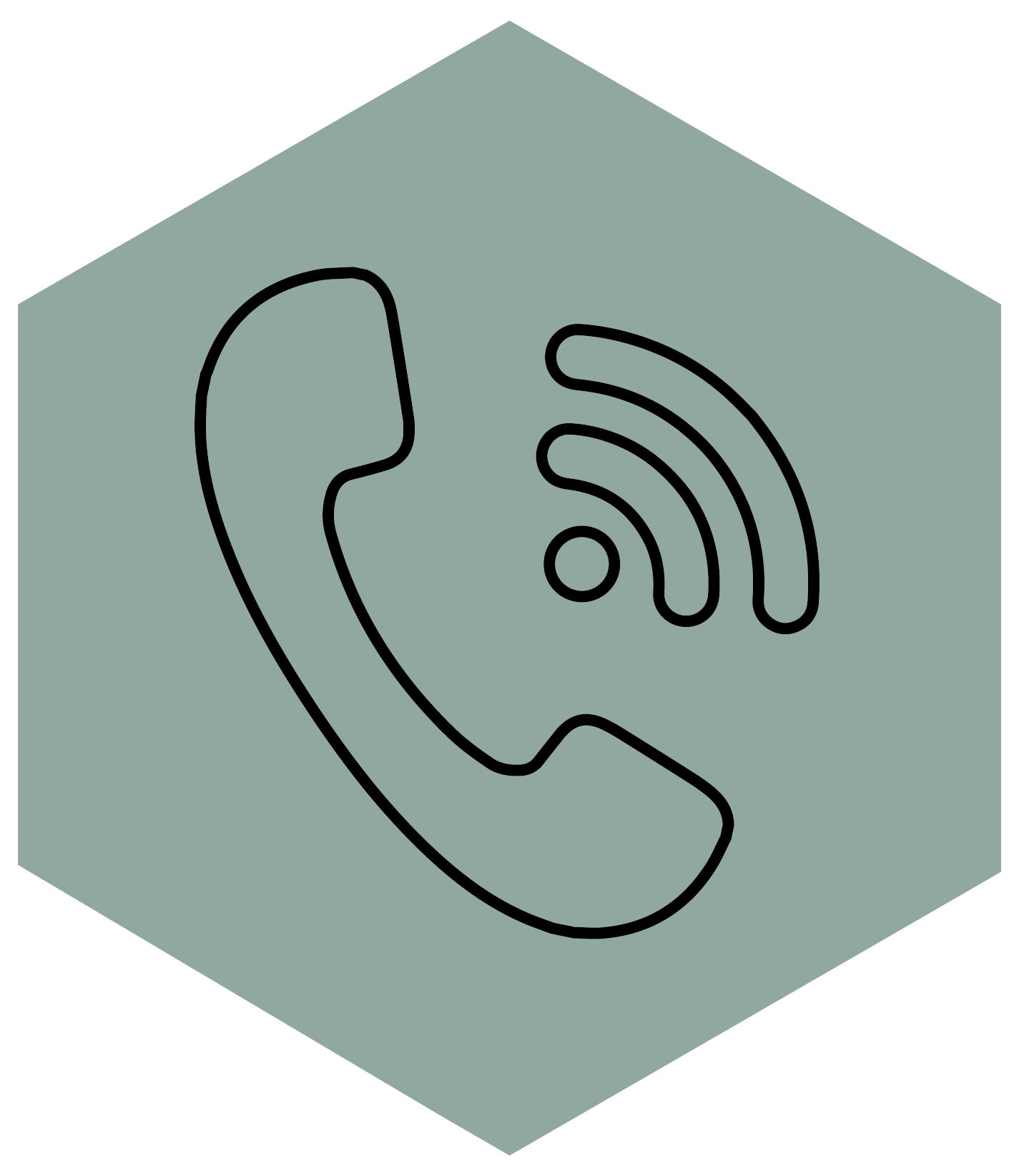 phone icon